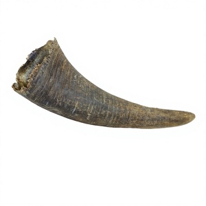 Pièce décorative artisanale en corne de buffle sculptée, matériau naturel et organique, ornement rond fait main pour la maison, mariage, bricolage par HF CRAFTS - Product Image 3