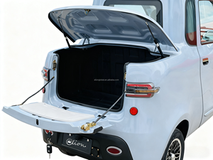 Tricycle électrique ELION YU3 certifié EEC 60V à 3 roues pour adultes, usage passagers, avec carrosserie fermée et grande capacité de charge - Product Image 5