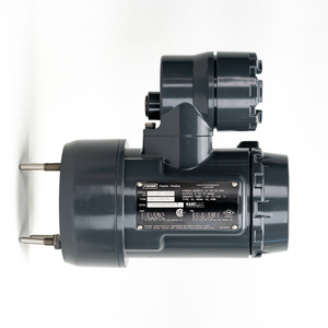 ตัวควบคุมระดับดิจิตอล FIELDVUE DLC3010 DLC3020F FOUNDATION Fieldbus พร้อมตัวควบคุมระดับ DLC3010 - Product Image 3