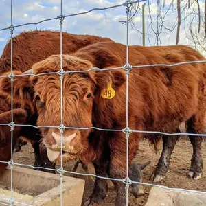 Забор для крупного рогатого скота с фиксированным узлом от производителя HTK