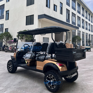 Carrito de Golf Clásico de 6 Plazas a Gasolina con Caja de Carga y Caddie Trasero, Modelo en Oferta - Product Image 6