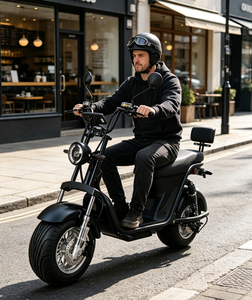 Nouveau Scooter Électrique Super Puissant 1000W à Châssis en Acier, Vente Chaude UE 2026, Disponible au Brésil, Entrepôt Paulo - Product Image 5