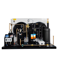 Unidad de Compresor Scroll Compacto de 3hp ZSZL, Gran Venta, para Soluciones de Refrigeración Comercial