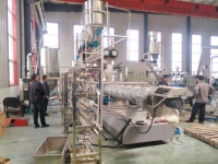 Extrudeuse de production de nourriture pour animaux de compagnie (chiens, chats, poissons, crevettes) en acier inoxydable, certifiée CE, à double vis, contrôlée par PLC, 5 tonnes/heure, automatique