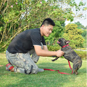 클래식 사용자 정의 색상 조절 나일론 개 강아지 목걸이 - Product Image 6