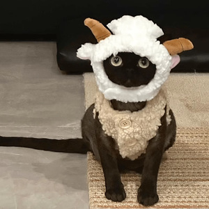 Coiffes mignonnes en forme de mouton pour chats, costumes amusants, foulards pour petits chiens, couvre-chefs chaleureux et originaux pour séances photo - Product Image 4