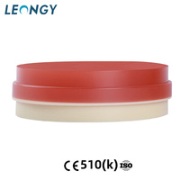 LEONGY Disque PMMA dentaire esthétique à faible rétrécissement pour couronnes et bridges, disque de fraisage CAD/CAM double couche en PMMA dentaire