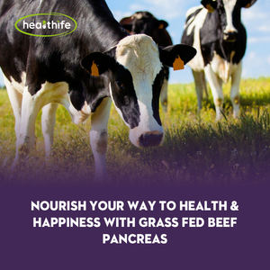 Suplemento de órganos de carne de res Healthife 500 mg/botella cápsulas de bazo de res alimentadas con hierba - Product Image 3