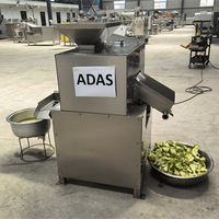 Industriële Kleine Commerciële Gebruik Fruit Juicer Extractor Dubbele Roller Langzame Passievrucht Citrus Sinaasappelsap Maken Machine