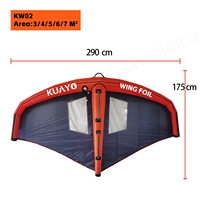 Ensemble de kitesurf hydrofoil GY Power Carbon 900 mm - Aile en carbone aluminium, polyvalent, pour SUP, utilisation en mer, adapté aux débutants