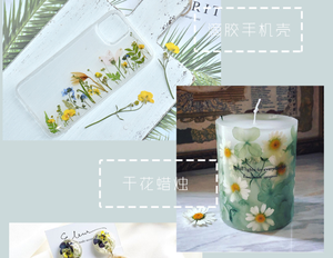 مجموعة أدوات الحرف اليدوية بالزهور المجففة - زهور محفوظة متنوعة لصناعة الألبومات وصنع البطاقات بالجملة - Product Image 6