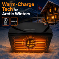 Boîtier ABS avec sangle, conception portable, batterie LiFePO4 12V 100Ah, service OEM ODM, étiquette personnalisée pour le camping en extérieur et la sauvegarde d'énergie