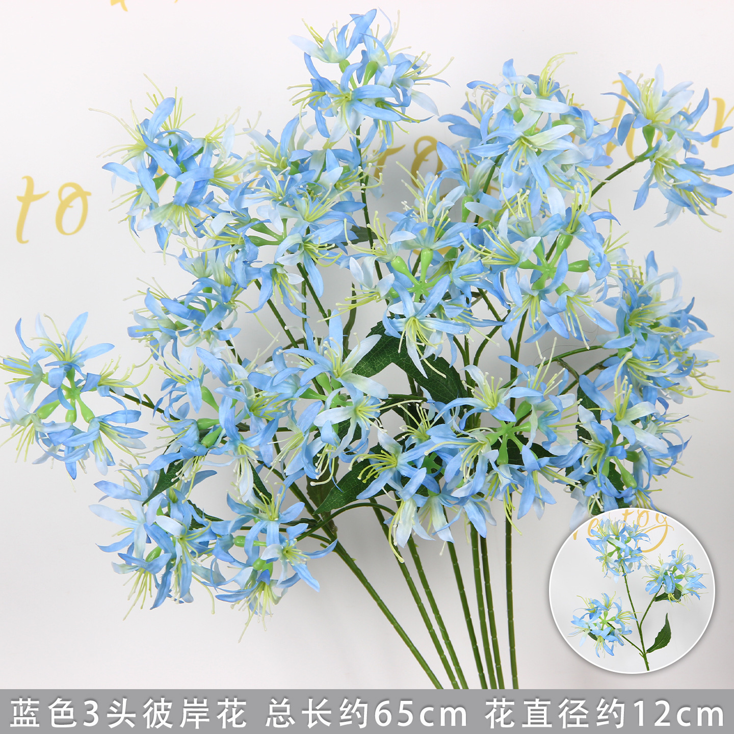 Blue three-headed spider lily branch