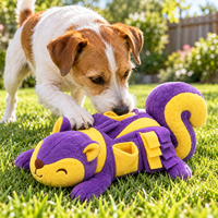 Jouet interactif en peluche pour chien, en gros, en forme d'écureuil coloré, jouet à mâcher pour chiot, jouets doux en peluche pour animaux de compagnie, personnalisable OEM