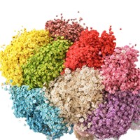 Fleurs séchées naturelles en gros, mini fleurs étoiles brésiliennes préservées pour arrangements floraux de mariage et décoration intérieure