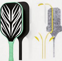 Équipement de pickleball en fibre de verre résistant à l'usure, deux raquettes, quatre balles de pickleball poreuses, sac à dos pour les matchs sportifs quotidiens amateurs