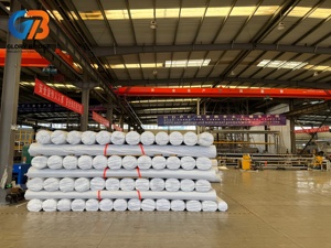 Géomembrane HDPE imperméable ASTM 1,5 mm pour bassin, écologique, feuille noire, Glory Bridge ISO9000 - Product Image 5