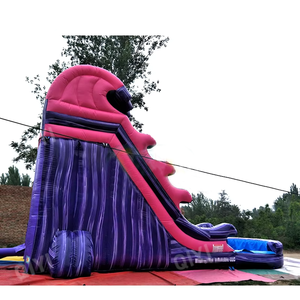 <strong>Commercial</strong> <strong>Slide</strong> For <strong>Pool</strong> Large Water <strong>Slides</strong> For Adults Inflatable <strong>Slide</strong> For Kids Party Rentals - Product Image 4