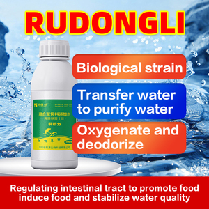 Ruột/thức ăn Probiotics cho tôm và cá với Top Grade Made - Product Image 3