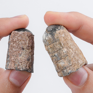 Cổ điển orthoceras cephalopod hóa thạch phong thủy tinh phong cách cho bộ sưu tập địa chất - Product Image 4