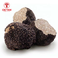 Truffe Noire Sauvage Chinoise Fraîche Naturelle