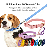 Ensemble collier et laisse pour chien en PVC enduit de couleur macaron, écologique, avec boucle à dégagement rapide, corde de promenade pour animaux de compagnie douce et confortable