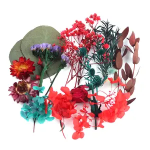 زهور طبيعية مجففة محفوظة أكثر المنتجات مبيعًا تشكيلة لصنع شموع الصابون والراتنج