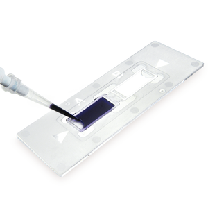 แผ่นวัดเซลล์แบบใช้แล้วทิ้ง Nanoentek DHC-N01 C-Chip สำหรับการเพาะเลี้ยงเซลล์ตามหลักวิธีทั่วไป 2 การทดสอบ 1 สไลด์ 50 สไลด์/กล่อง 100 มิลลิเมตร - Product Image 3