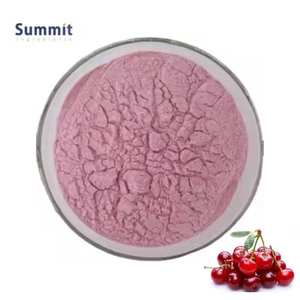 Poudre d'extrait de cerise d'acérola naturelle pure au meilleur prix - Product Image 2