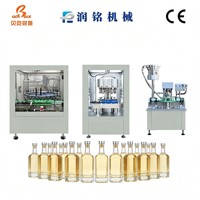 Machine de remplissage entièrement automatique pour le vin, le gin et le rhum