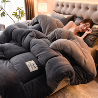 Couettes en velours de lait épais de luxe, literie en sherpa, solides, chaudes, super douces, en polyester, édredons, draps de lit, couvertures pour l'hiver
