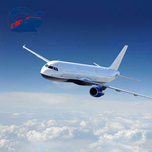 Soluciones profesionales de servicio Ddp para envío de marca a <span class=keywords><strong>Argentina</strong></span> Entrega global por agente de abastecimiento - Product Image 5