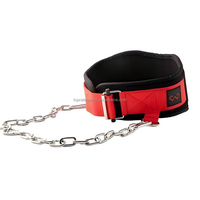 Cinturón de levantamiento de pesas ajustable con cadena de acero y acolchado de EVA, cierre de gancho y bucle, unisex, para entrenamiento de fuerza en gimnasio, completo.