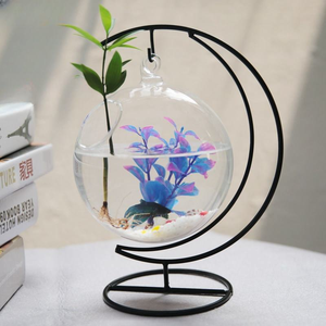 Op maat gemaakte, populaire hangende glazen aquariumviskom, bloempot, bolvormige glazen betta-visbak, aquariums - Product Image 1
