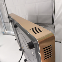 Cuisinière électrique portable à 2 brûleurs en céramique, plaque chauffante infrarouge de bureau, commande tactile, compatible avec toutes les casseroles