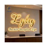 Enseigne Lumineuse Luxe Brillante Lettre Rétroéclairée 3D Logo Lettre Lumineuse LED Enseigne LED Personnalisée pour Entreprise, Salon de Beauté, Clinique