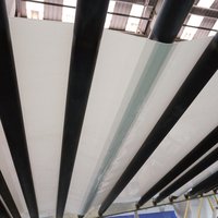 Nouvelle bande transporteuse en plastique PP pour le nettoyage des déchets de cages à poulets et à cailles en élevages avicoles