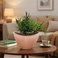 Jardinières durables pour plantes d'intérieur et d'extérieur, en bois et en pierre, en forme de bateau, personnalisables, de la marque Factory's Light Flower Pots.