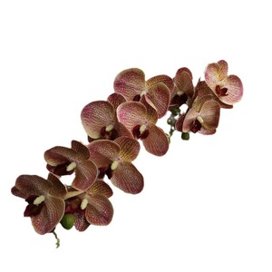 Suzume Ii 3D Printed Phalaenopsis Orchid 10-Head Two-Branched <b>Artificial</b> <b>Flower</b> 30cm-100cm Wedding Home Decoration - Product Image 5