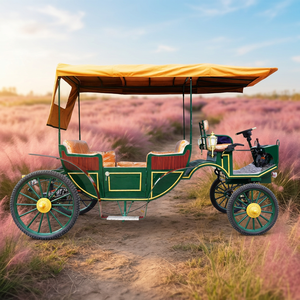 High Quality Green Sightseeing Horse Carriages Luxury Four Wheels Sightseeing Horse Carriages for Sale With Awning - Product Image 1
