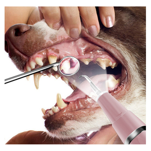 El mejor <span class=keywords><strong>precio</strong></span>, suministros multiusos para blanquear los dientes, herramientas de <span class=keywords><strong>limpieza</strong></span> de sarro, pantalla LED, bolígrafo blanqueador de dientes para terapia oral de mascotas - Product Image 2