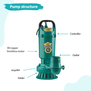 3 인치 48V 잠수정 워터 펌프 35m ³/h <span class=keywords><strong>DC</strong></span> 브러시리스 워터 펌프 관개 750W 6m 하이 리프트 펌프 농업 - Product Image 4