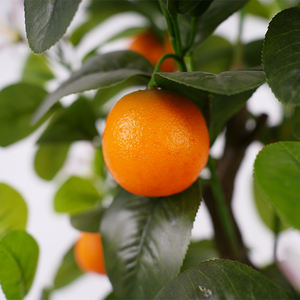 Atacado Sala Decoração Artificial Laranja Árvore Em Vaso Arbustos - Product Image 5