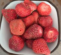 Buah stroberi kering beku Premium bentuk utuh stroberi FD harga murah