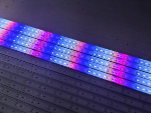 Lámpara de acuario LED de espectro completo para plantas IP68 Luz de corales para pecera Azul/RGB/RGBW CCT Colores Blanco/Verde/Rojo Emisión - Product Image 4