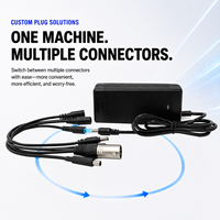 Chargeur de batterie au plomb-acide 48V pour trottinettes électriques pliables et vélos électriques avec interface DC XLR GX16 personnalisée, charge intelligente