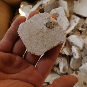 <span class=keywords><strong>Pain</strong></span> indien au pin Fushen Core Part Tuckahoe avec des tranches de pin à vendre - Product Image 3