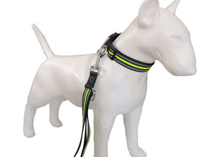 나일론 개 가죽 끈 2cm 2.5cm 폭 반사 조절 가능한 훈련 리드 대형 중형견을위한 더블 D 링 - Product Image 4