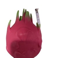 Nouveau Jouet Anti-Stress en Caoutchouc Souple à Rebond Lent en Forme de Fruit du Dragon Géant, Idéal pour les Plus de 14 Ans, Unisexe