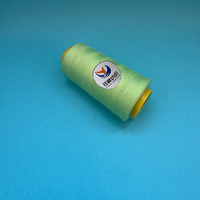 Benang Bordir Poliester 100% Elastis Tinggi 40/2 yang Dapat Disesuaikan, Tahan Lama, Bermotif Celup, untuk Mesin Bordir